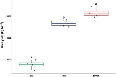 Long-Term Organic–Inorganic Fertilization Regimes Alter Bacterial and Fungal Communities and Rice Yields in Paddy Soil